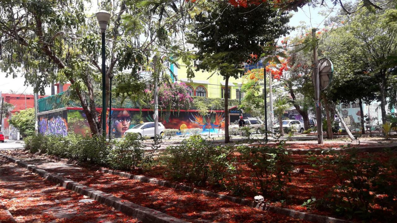 Hostel Quetzal Hostal *