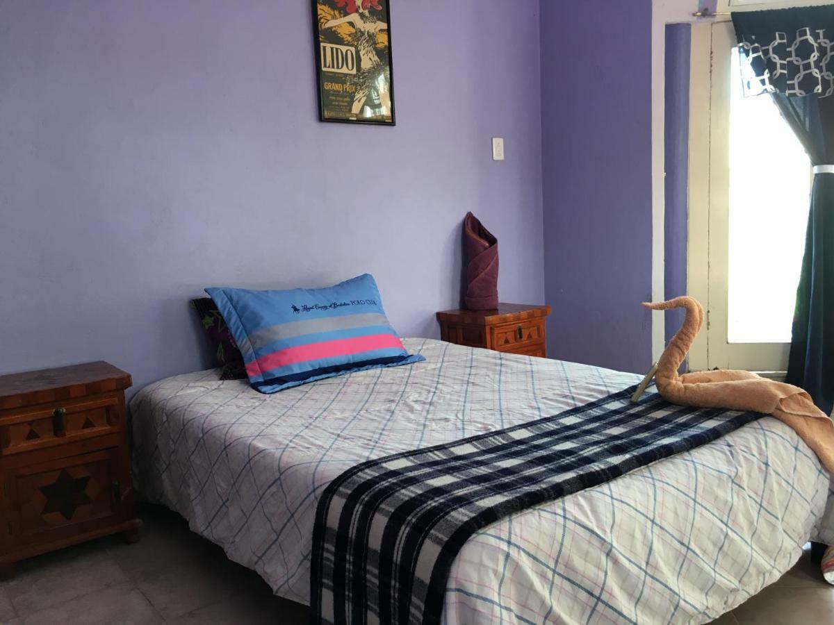 Hostel Quetzal *